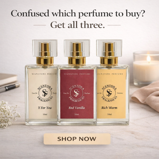y for you, red vanilla, rich warm, 50ml perfume