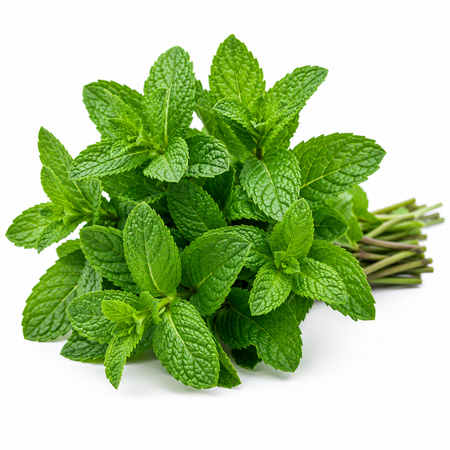 Mint
