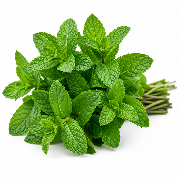 Mint