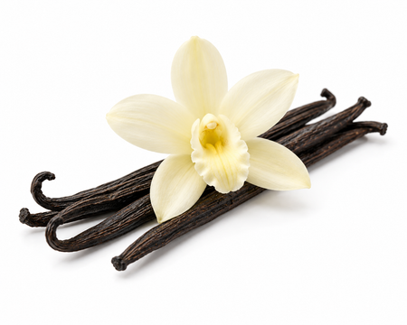 Vanilla